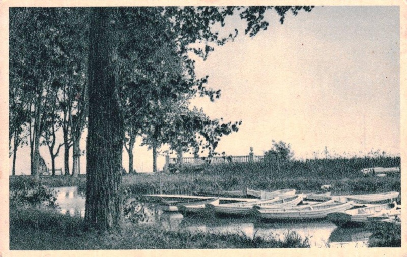 Fájl:Almadi SF 0015.jpg