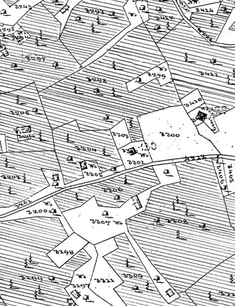 Fájl:1858 almadi szolok terkep.jpg