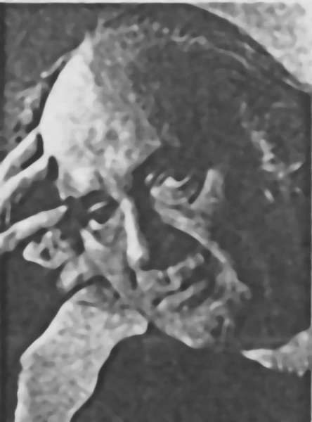 Fájl:Vamos Laszlo.jpg