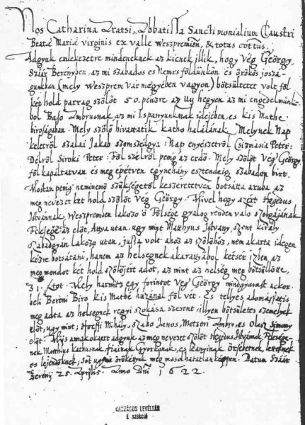 Fájl:Szarbereny szololevel.jpg