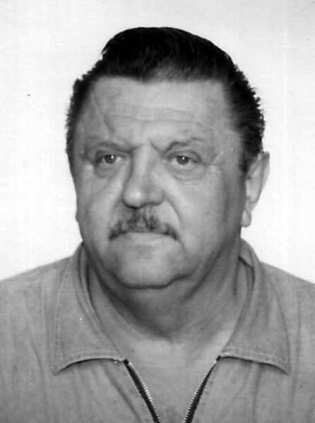 Fájl:Lendvay sandor.jpg